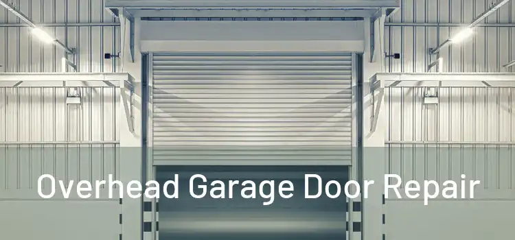  Overhead Garage Door Repair 